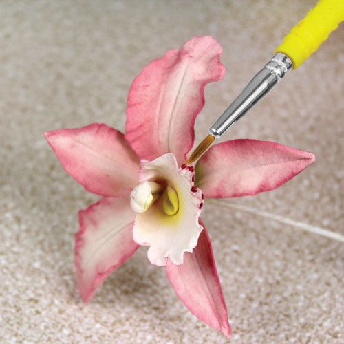 PME FINE CRAFT BRUSHES